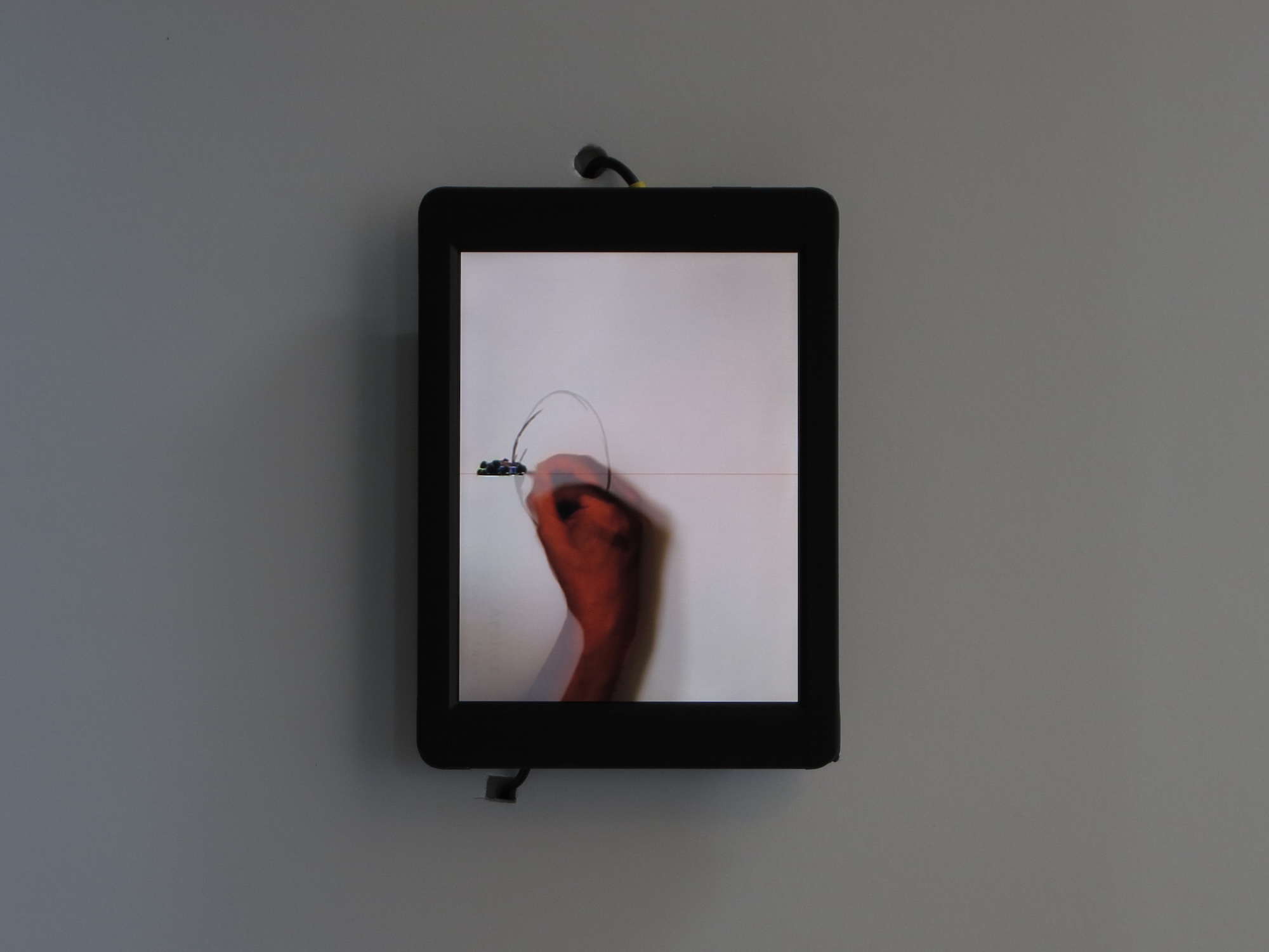 Installation view 13