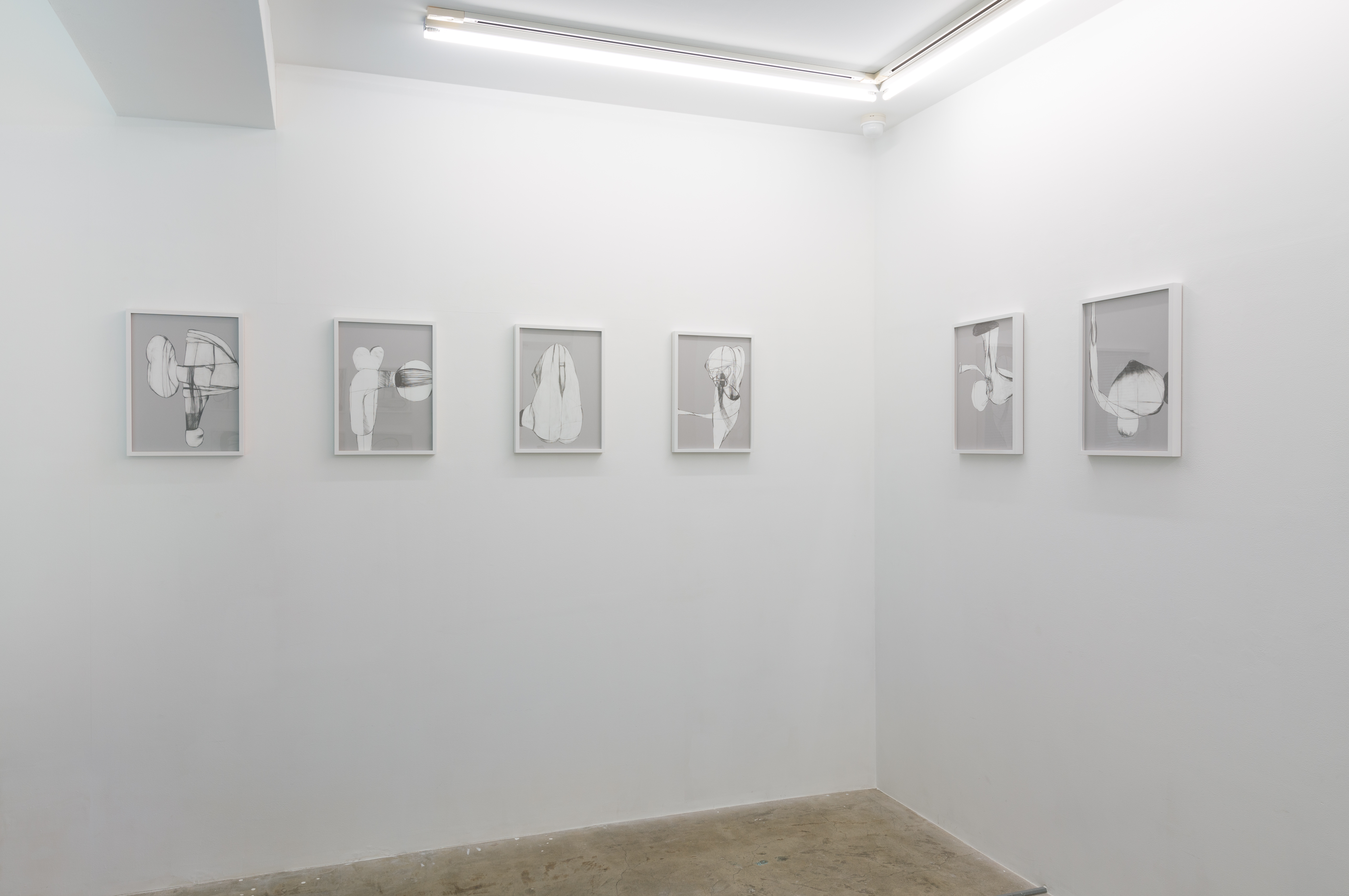 Installation view 1