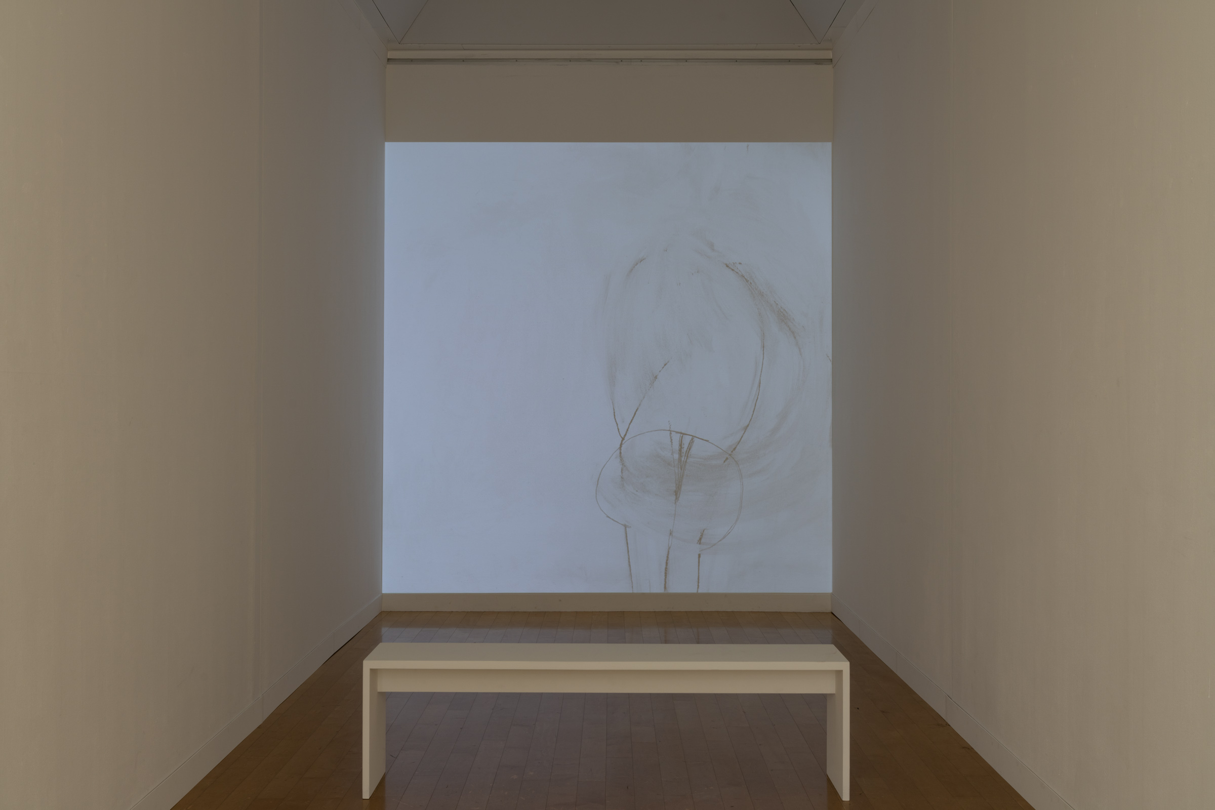 Installation view 19